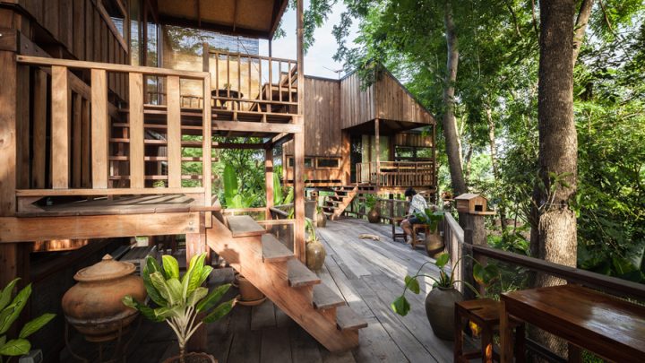 Gợi ý xu hướng xây nhà hoàn toàn mới – Thiết kế Treetop House
