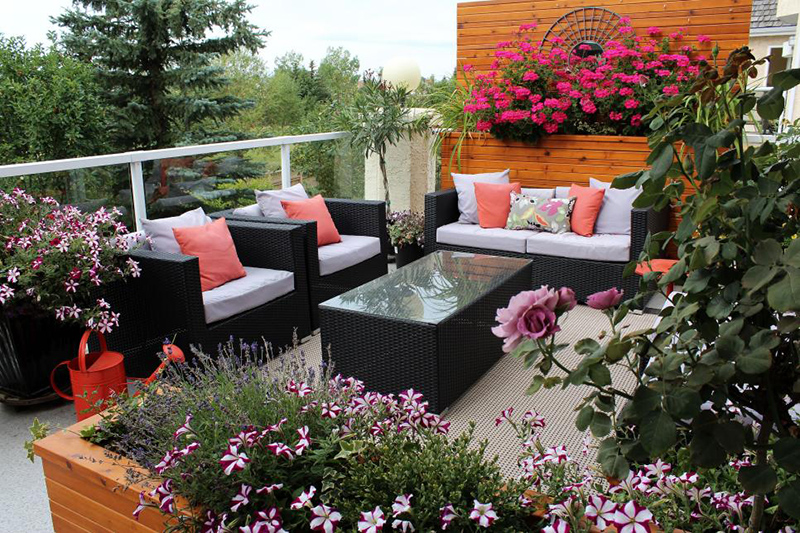 Một vườn hoa trên sân thượng đẹp sẽ mang đến sự thẩm mỹ cho không gian sống của bạn