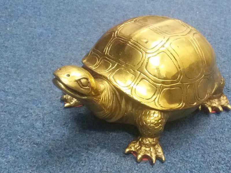 Rùa vàng biểu tượng phong thủy cho văn phòng – công ty
