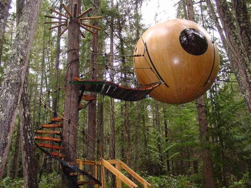 Kiến trúc hình quả cầu treo lơ lửng lạ mắt giữa rừng