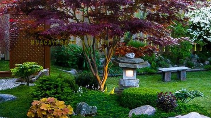 Tự thiết kế sân vườn theo phong cách Nhật Bản, dễ mà!